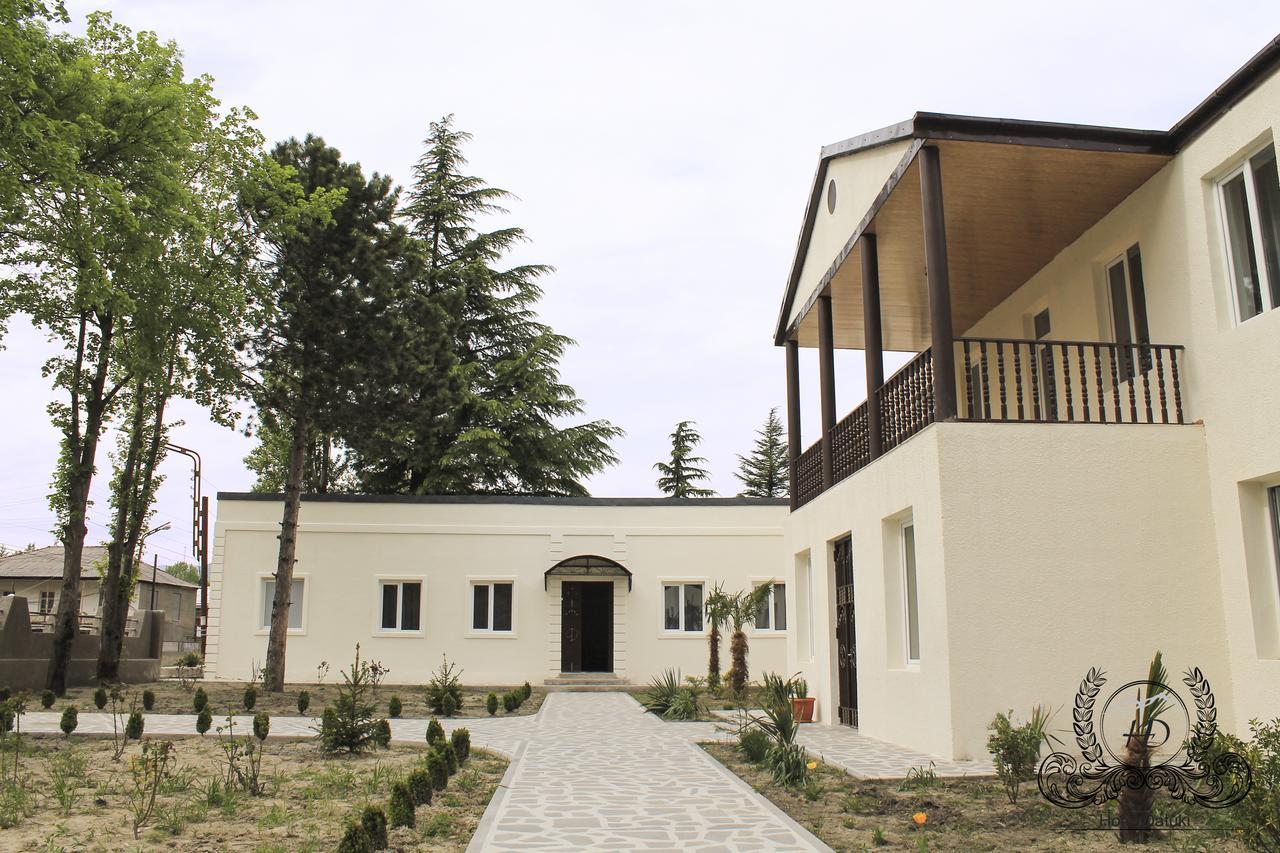 Hotel Datuki Akhmeta Esterno foto